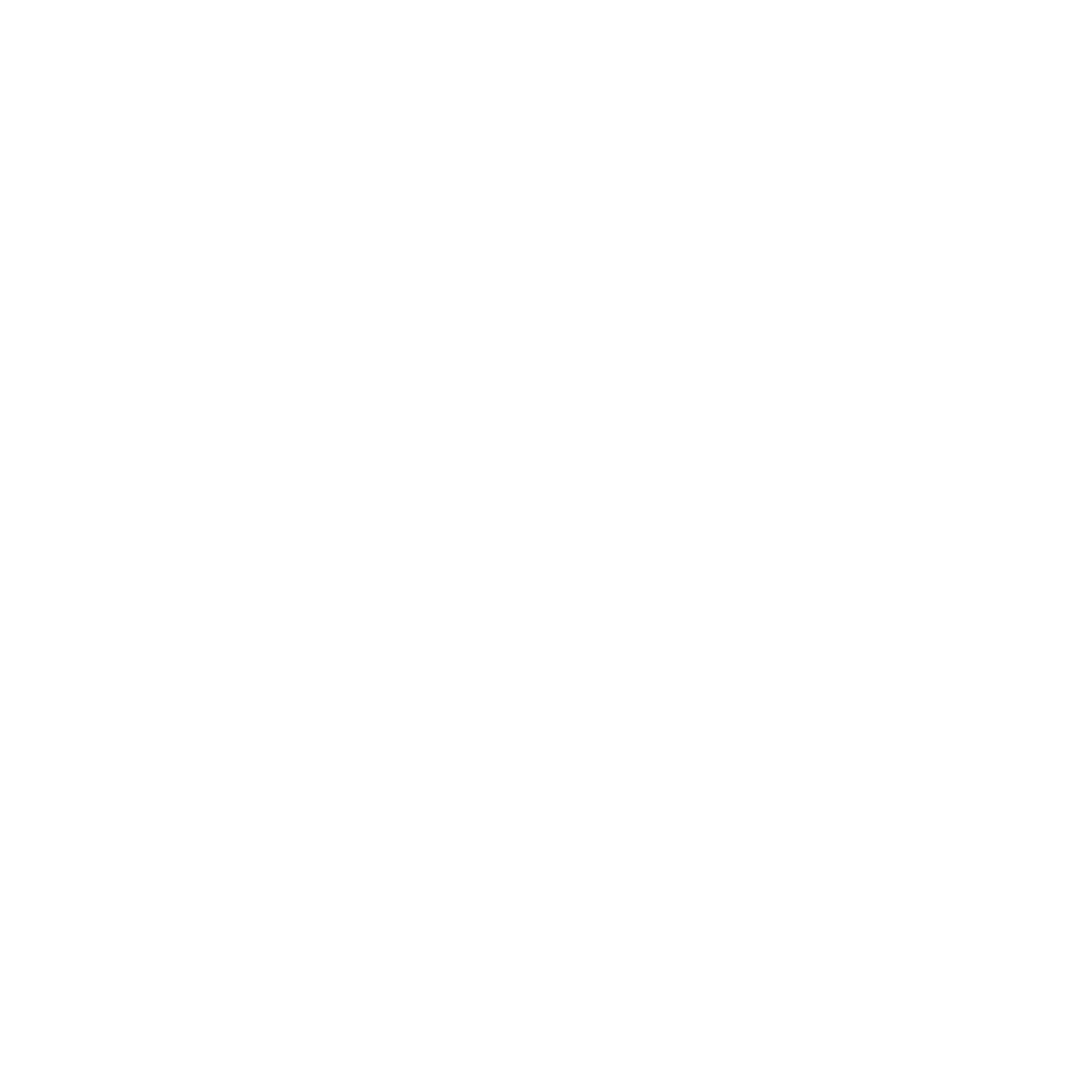 noirLang